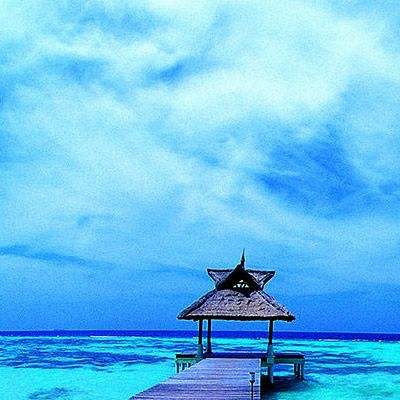 浴血长空bt版下载
